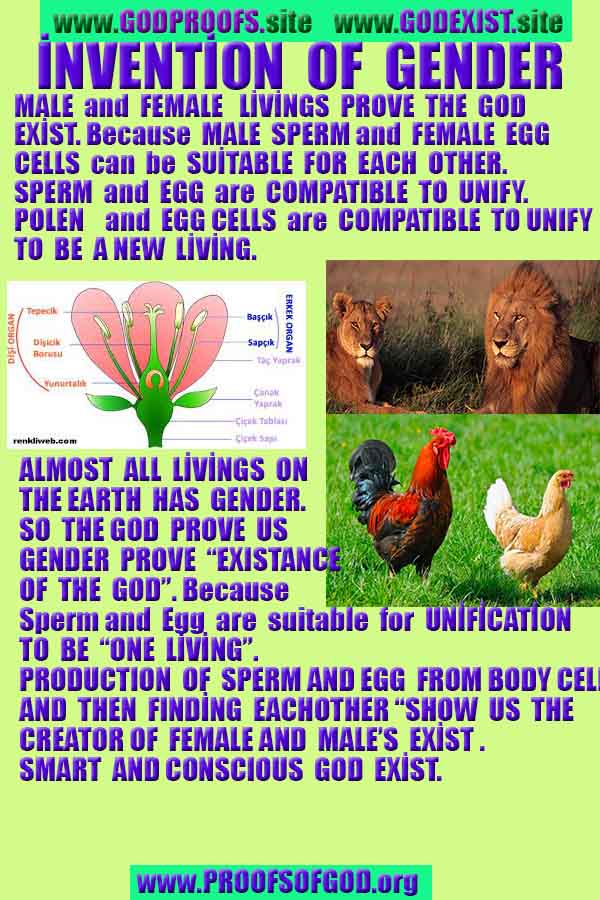 proofs of god, evidences of god, god-proofs, god-signs, god-evidences, god exists, god-real, god is real,god-exists