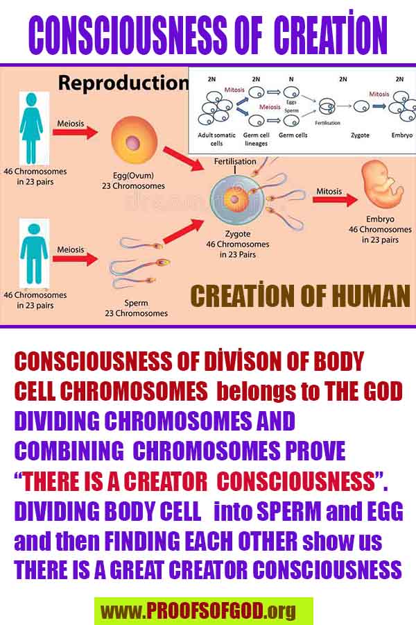 rational proofs of god, evidences of god, god-proofs, god-signs, god-evidences, god exists, god is real,god