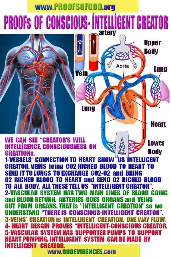 scientific proofs of god, evidences of god, god-proofs, god-signs, god-evidences, god exists, god-real