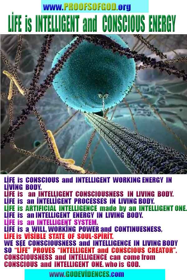 rational proofs of god, evidences of god, god-proofs, god-signs, god-evidences, god exists, god is real,god