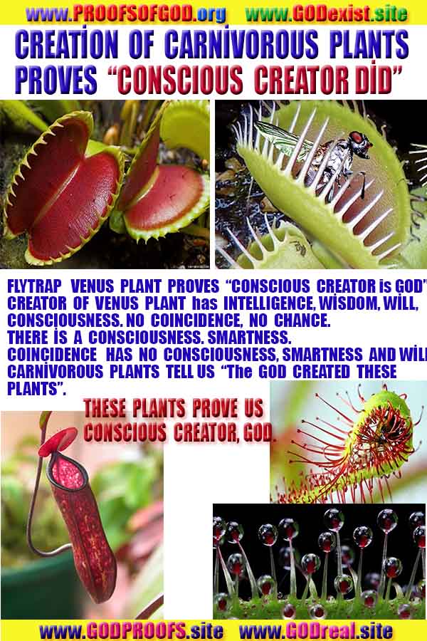 rational proofs of god, evidences of god, god-proofs, god-signs, god-evidences, god exists, god is real,god