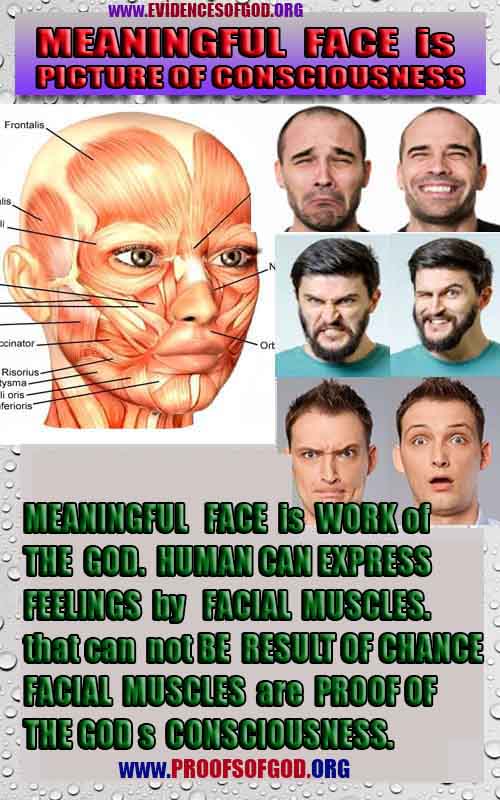 scientific proofs of god, evidences of god, god-proofs, god-signs, god-evidences, god exists, god-real