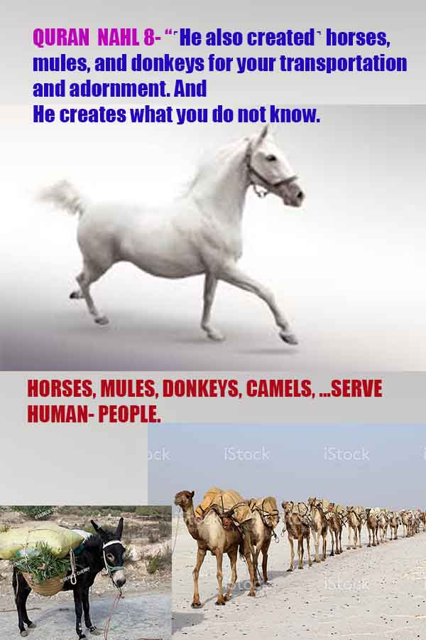 proofs of god, evidences of god, god-proofs, god-signs, god-evidences, god exists, god-real, god is real,god-exists