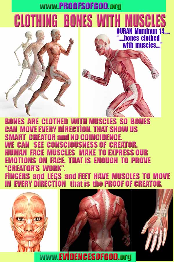 rational proofs of god, evidences of god, god-proofs, god-signs, god-evidences, god exists, god is real,god