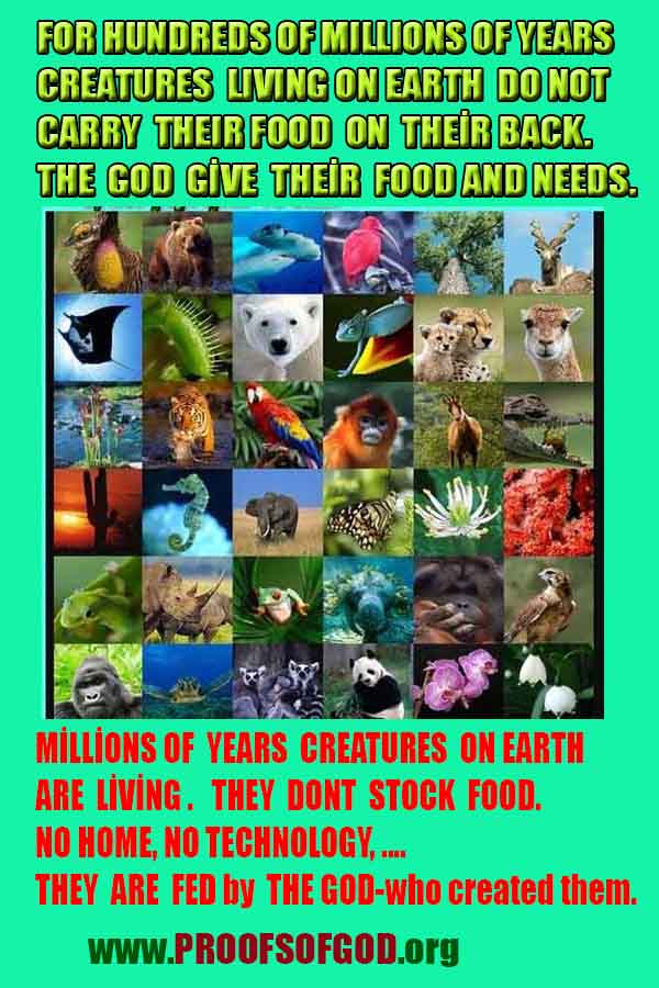 proofs of god, evidences of god, god-proofs, god-signs, god-evidences, god exists, god-real, god is real,god-exists