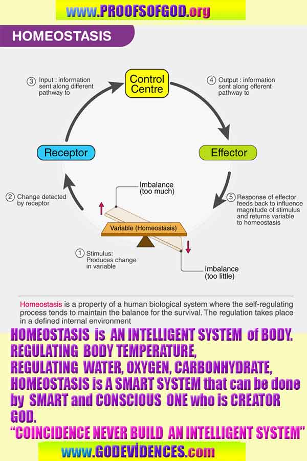 rational proofs of god, evidences of god, god-proofs, god-signs, god-evidences, god exists, god is real,god