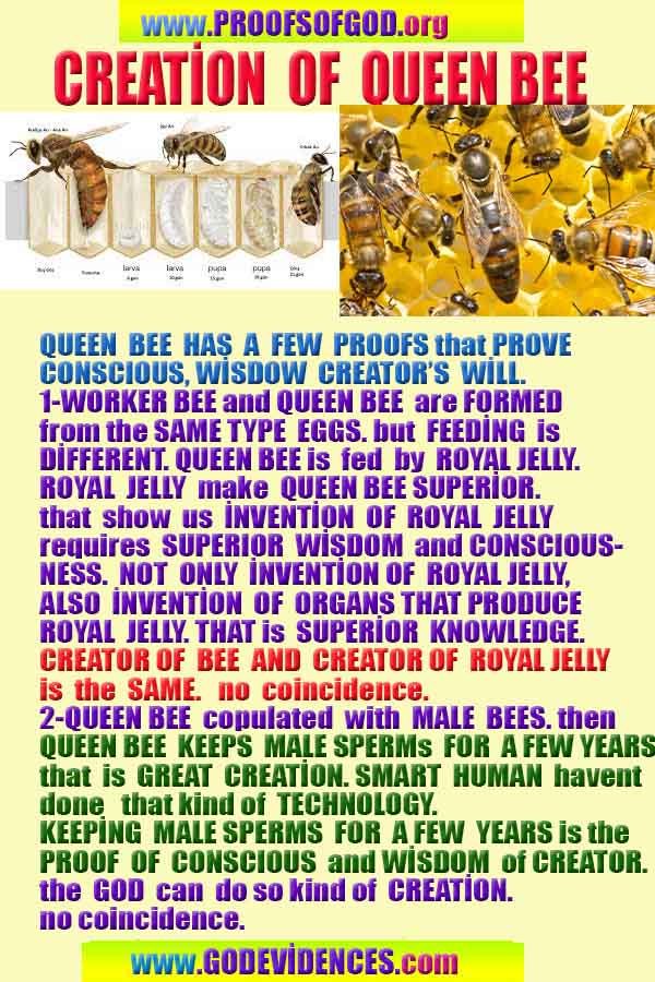 scientific proofs of god, evidences of god, god-proofs, god-signs, god-evidences, god exists, god-real