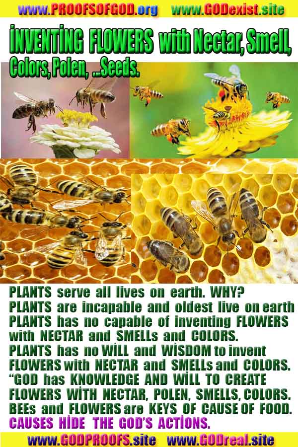 scientific proofs of god, evidences of god, god-proofs, god-signs, god-evidences, god exists, god-real