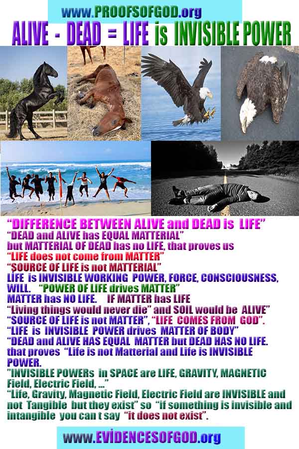 scientific proofs of god, evidences of god, god-proofs, god-signs, god-evidences, god exists, god-real