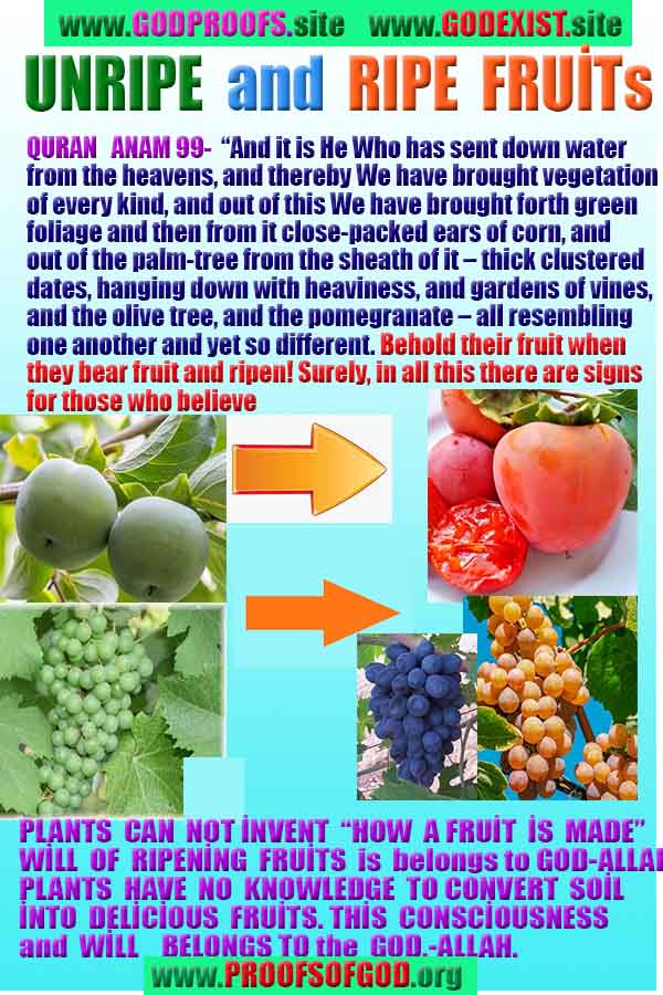 rational proofs of god, evidences of god, god-proofs, god-signs, god-evidences, god exists, god is real,god